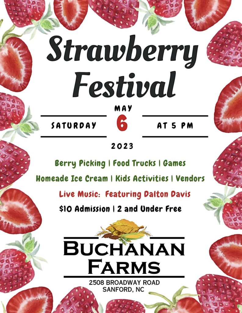 Strawberry Festival The Art Fair Gallery